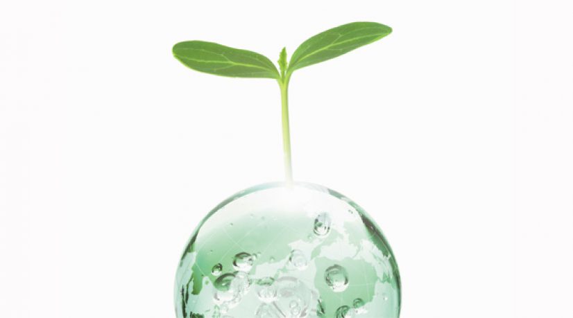 Tourisme vert, le tour des labels