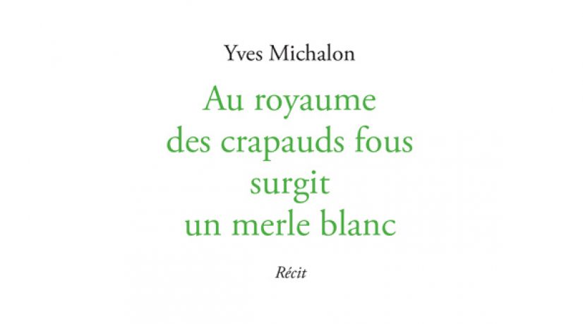 "Au royaume des crapauds fous surgit un merle blanc"