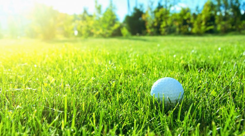Golf et greens cherchent jeunes pousses