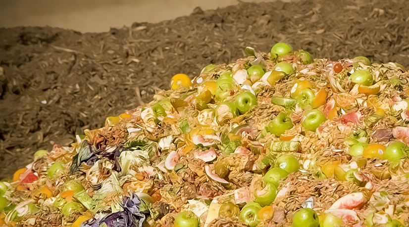 Le gaspillage alimentaire en Chine