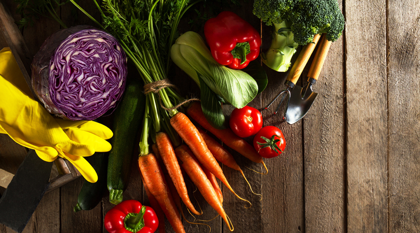 Bio, la consommation s'envole, le déficit commercial aussi