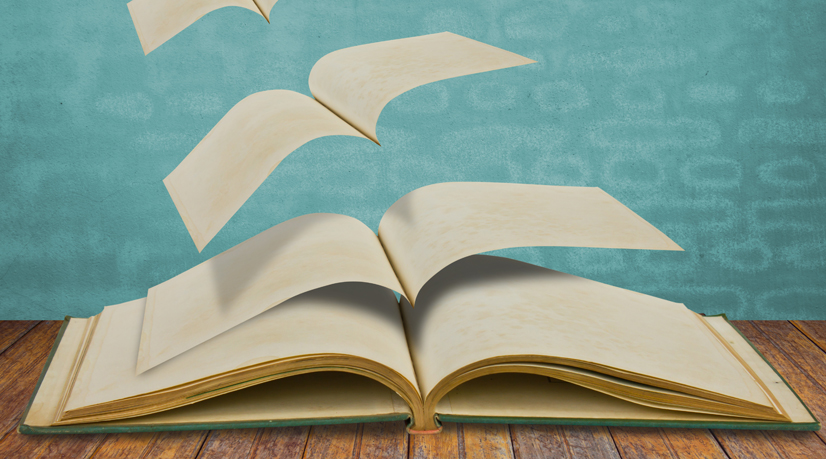 L'efficacité du Bachelor comme nouvelle formation