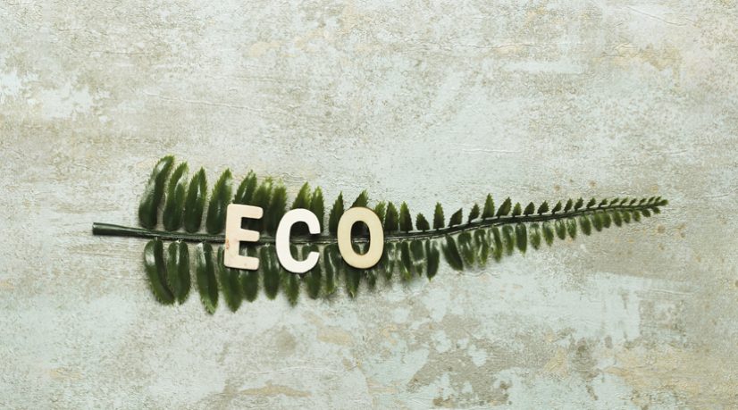 Un budget vert pour mesurer l'impact environnemental de toute chose