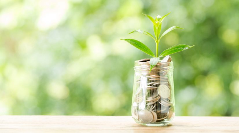 L’ère post-fonds euros de l’assurance-vie en route pour la diversification