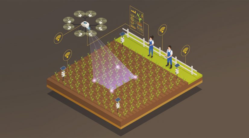 Agribots, les robots agricoles marchent à l’intelligence artificielle