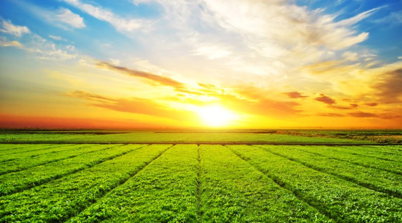 Paris-Saclay, un site leader en recherche agroéconomique