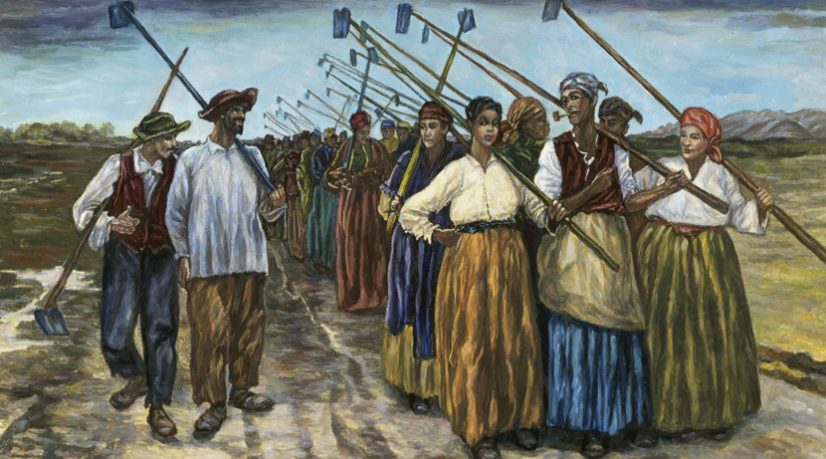 Projet 1619 les États-Unis en pleine relecture de leur histoire