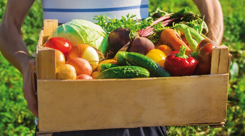 Un modèle d'agriculture durable s'invente en Essonne