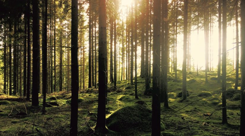 Splendeurs et misères de la traduction d’un poème chinois ancien