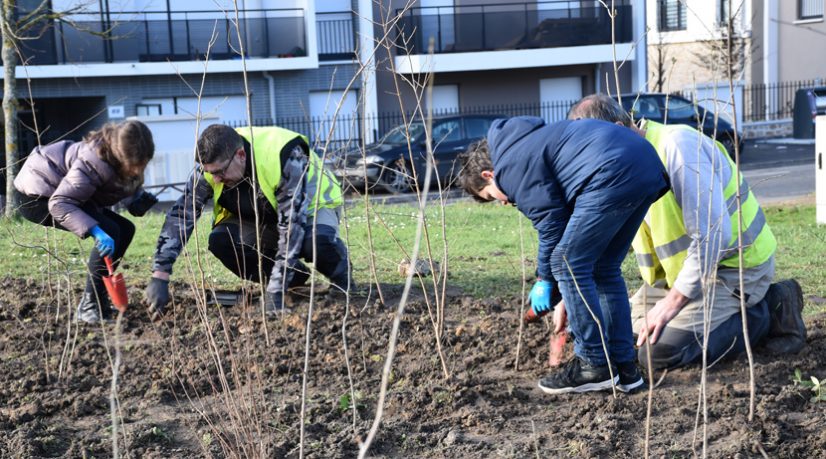 L'avenir des forêts est en centre-ville