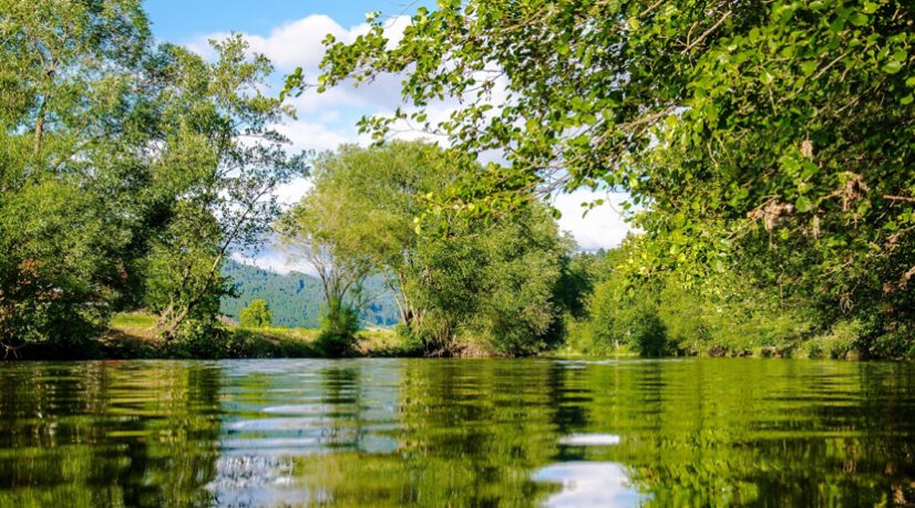 La Bièvre pourrait reparaître à Paris