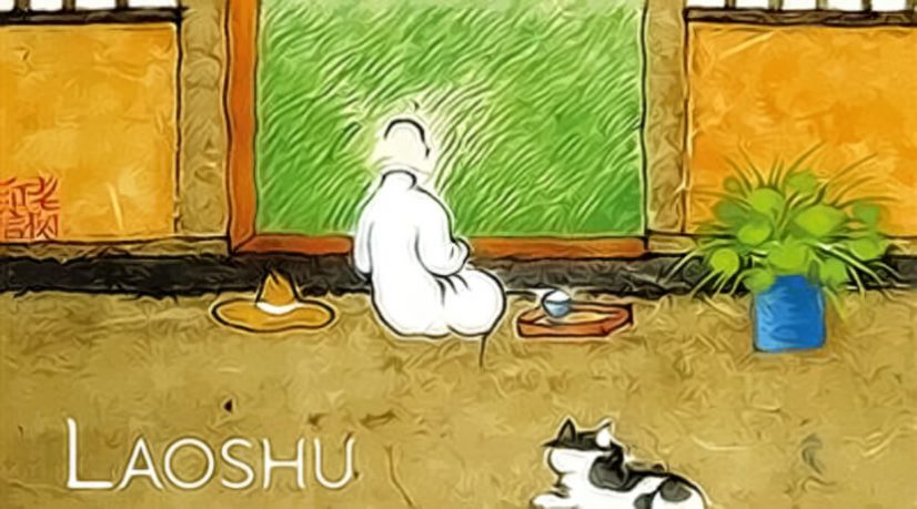 Moi, mon chat et le plaisir des jours, de Laoshu