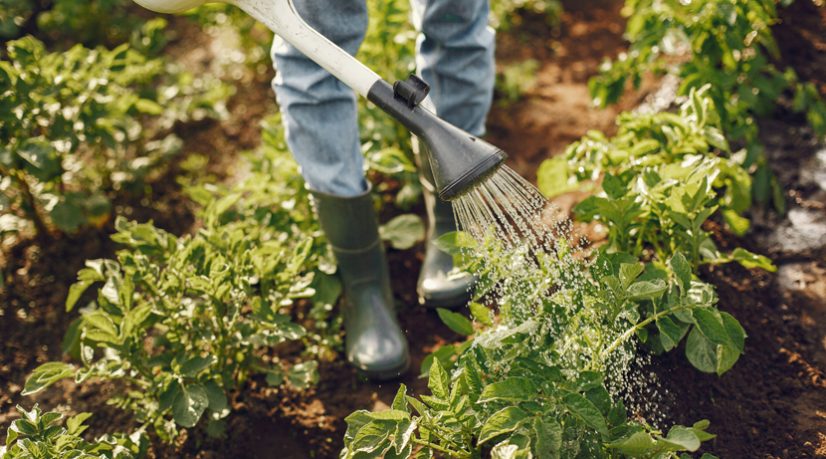 Comment la relation de l’homme avec le travail a évolué au cours des millénaires