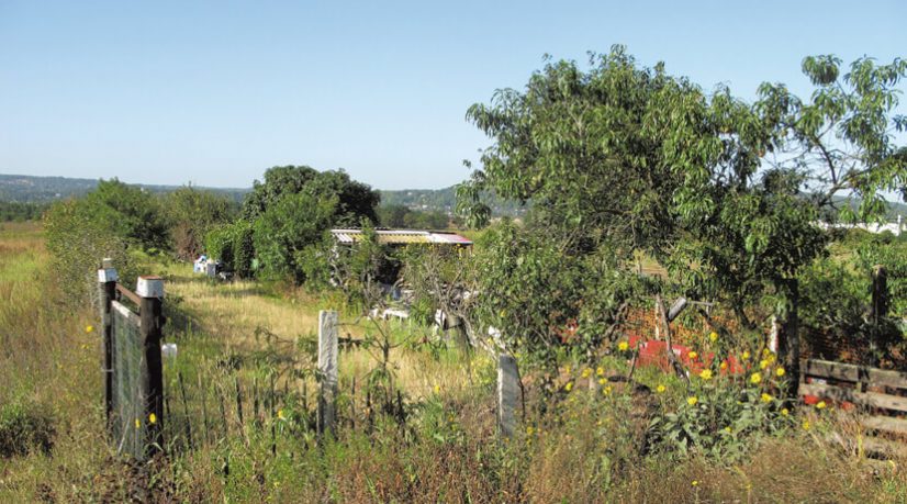 Carrières-sous-Poissy porte plainte pour préjudice écologique