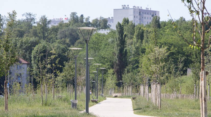 Phytoremédiation, la dépollution des sols par les plantes