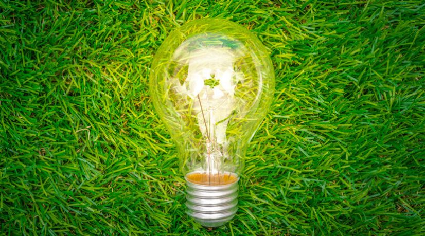 Dans la jungle des offres de fourniture en électricité verte, difficile pour les particuliers de s’y retrouver.