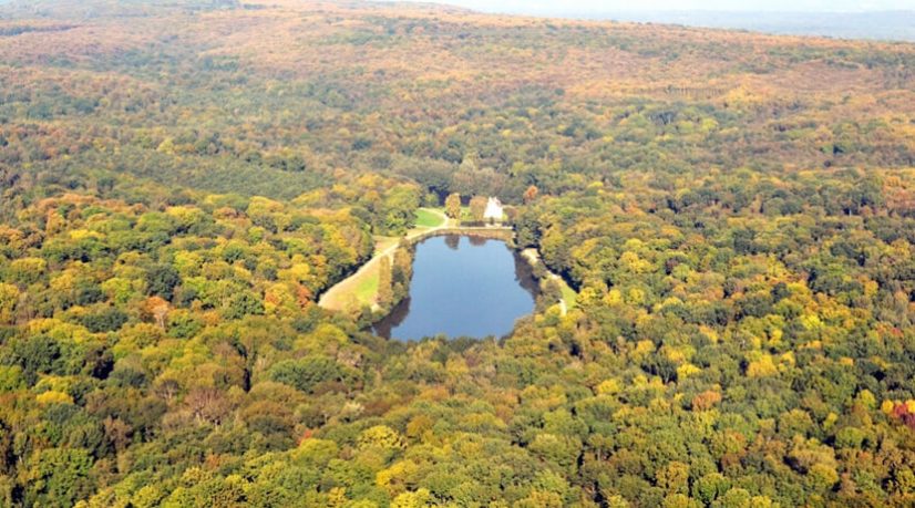 Elus et habitants se mobilisent pour la forêt de Montmorency
