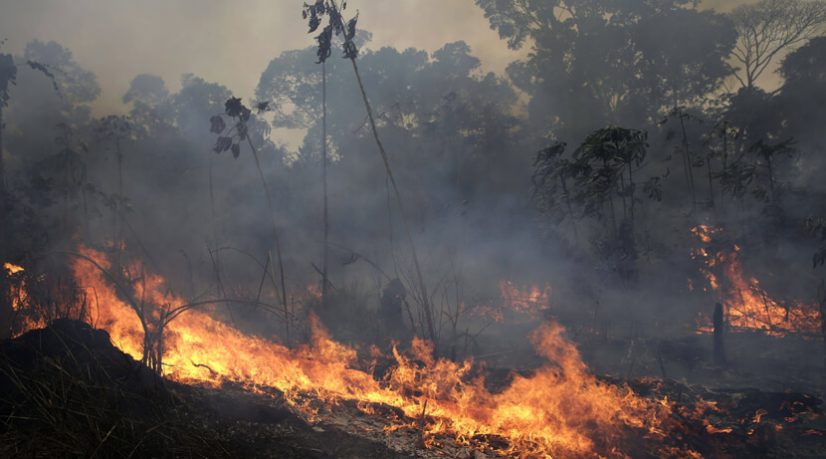 écocide, entre promesses et réalités