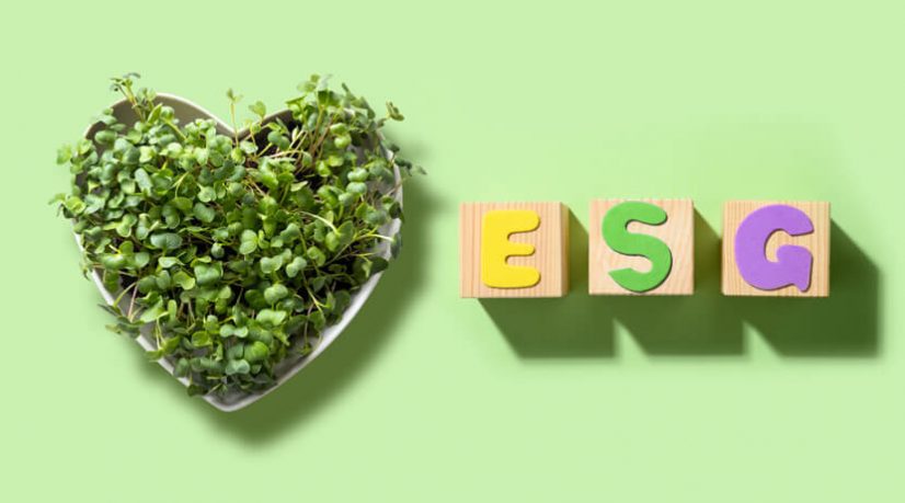 L’analyse extra-financière dans l’ISR