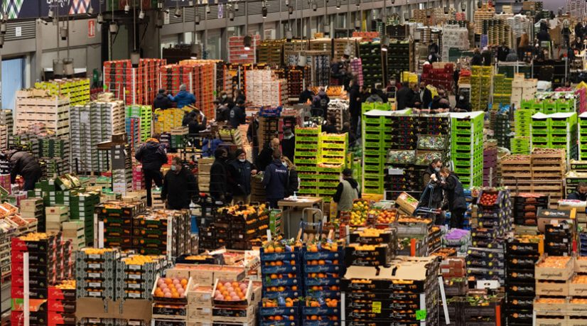 Ce projet, baptisé Agoralim, vise à favoriser le développement de la production locale et des circuits courts