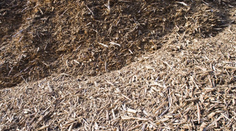 Chaufferies de biomasse, en route vers l’indépendance énergétique de la région