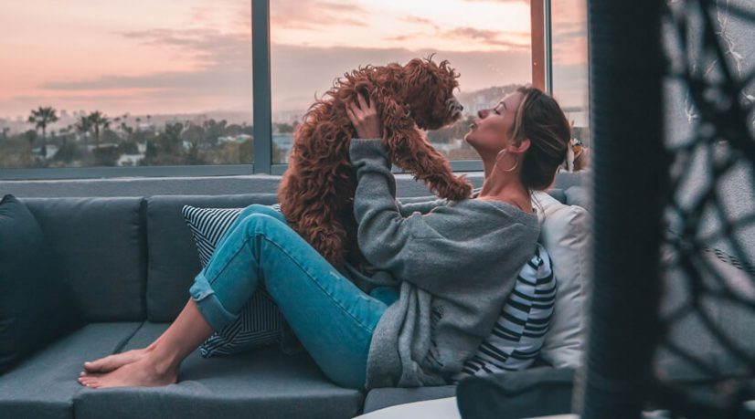 Les animaux de compagnie, un pansement pour l’âme des millennials