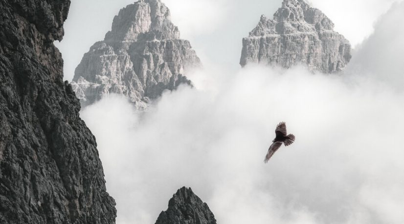 Deux chemins différents dans la rationalité : la méthode occidentale et la voie chinoise