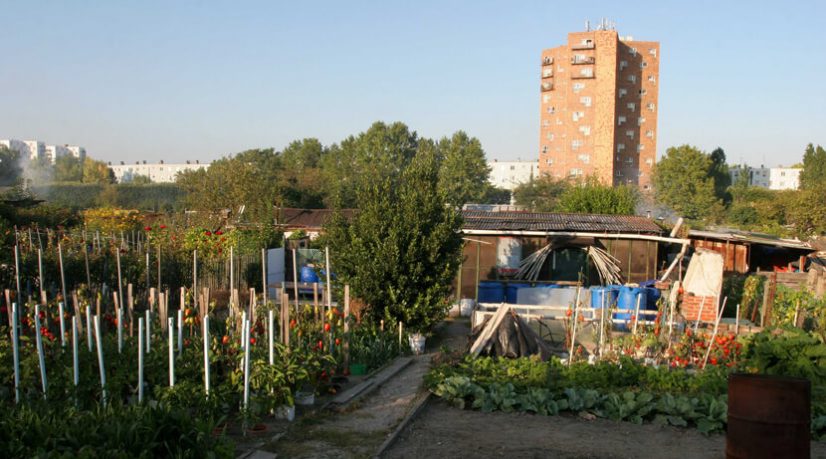 Le permis de construire de la piscine olympique est suspendu