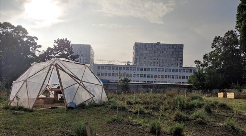 Un hectare bientôt revégétalisé grâce à Merci Raymond