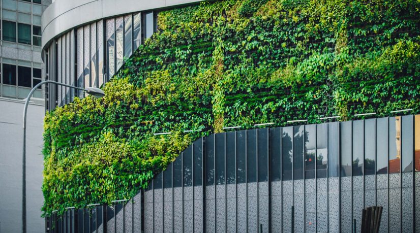 Quatorze engagements vers la neutralité carbone