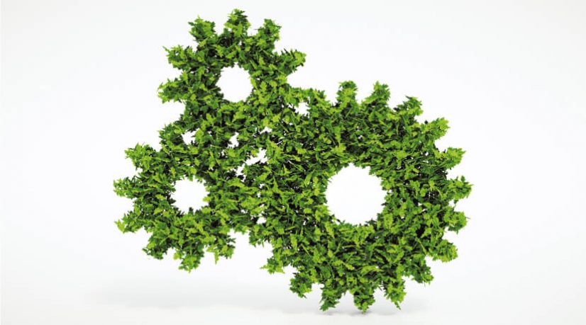 Transitions écologiques dans les écoles d’ingénieurs