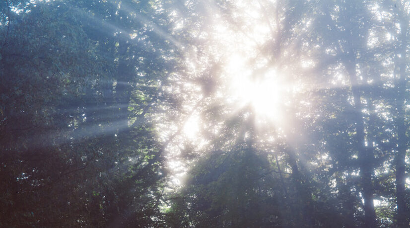 Pourquoi l’idée de Dieu n’a pas pris en Chine