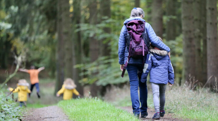 Des sentiers mieux entretenus dans les quatre forêts domaniales