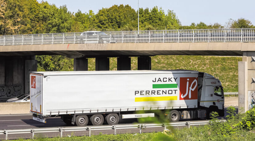 Transformation numérique, transition énergétique, réforme de la gouvernance, croissance externe. Étude de cas Jacky Perrenot.