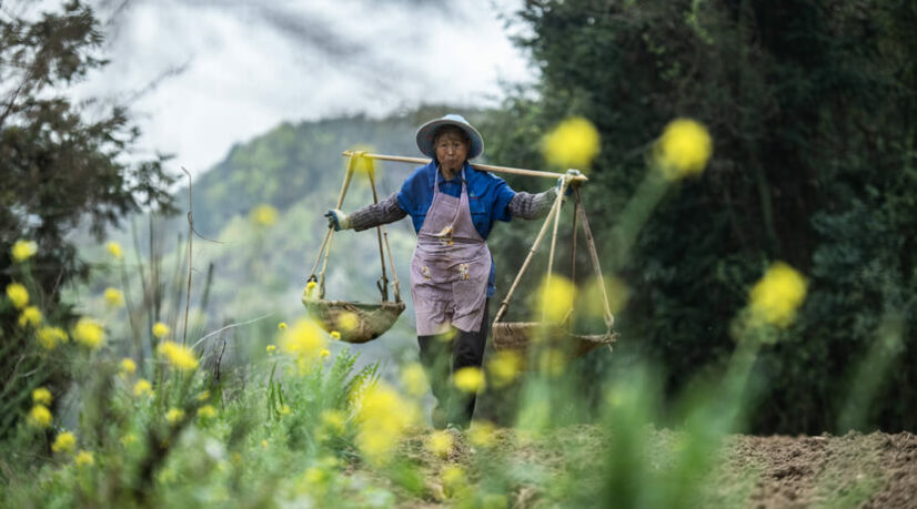 Dans la culture classique, le peuple n’est jamais idéalisé ni fantasmé. Ni passif ni soumis, il vit sans violence et sans drames.