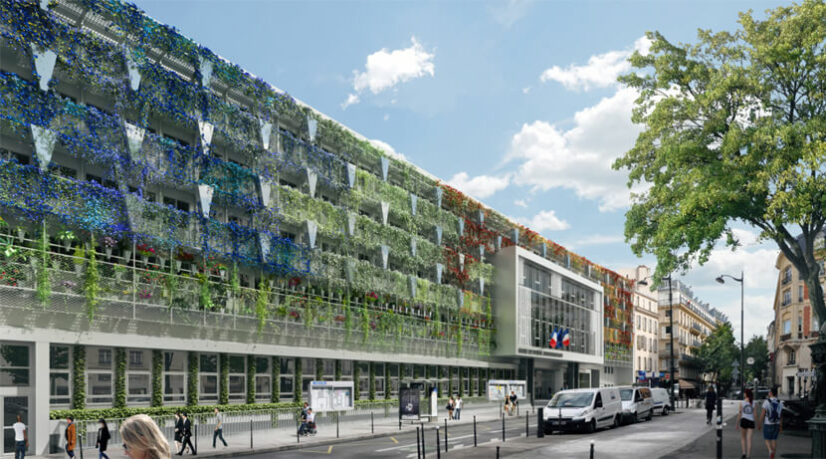 Végétalisation en deux dimensions à la mairie du XVIIe