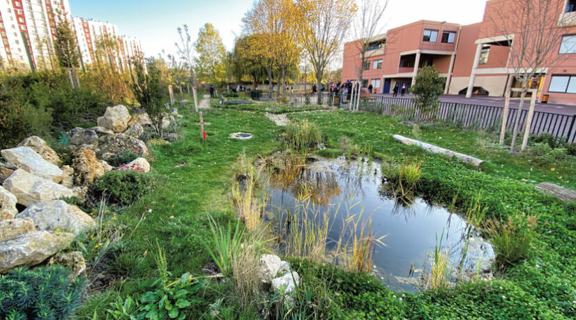 Plan Canopée, charte de l’arbre et appel à projets : le département met tout en œuvre lutter contre le réchauffement climatique