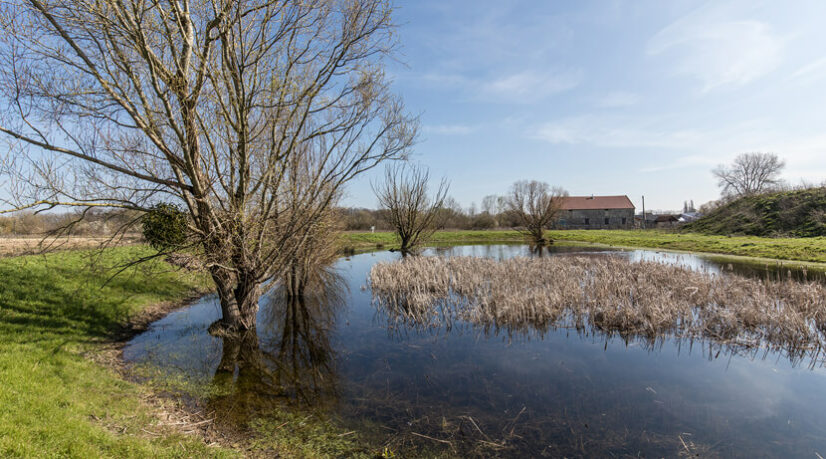 La plaine des Bordes reconnue zone naturelle d’intérêt écologique
