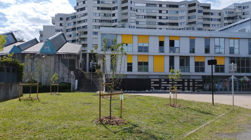 Les Évryens recréent la place du centre-ville