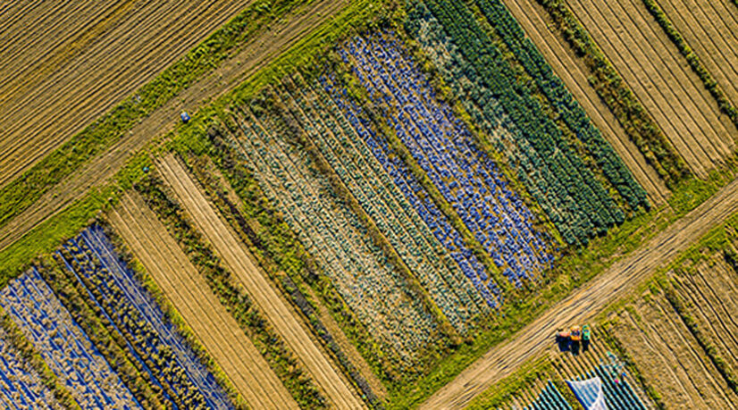 Cœur d’Essonne à la recherche de l’autonomie alimentaire