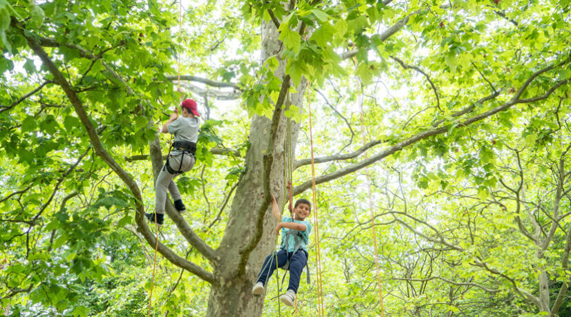 Un “Bel été solidaire” en Seine-Saint-Denis