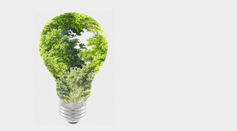 ‘It’s environment, stupid’