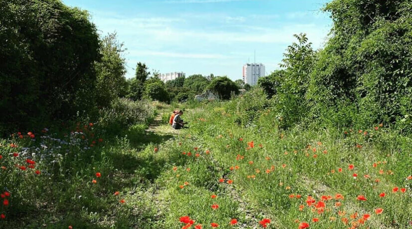 À Montreuil, on plante d’abord et on construit parfois