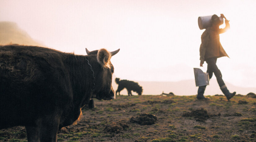 Ce que la hausse des prix du lait nous apprend sur l’inflation