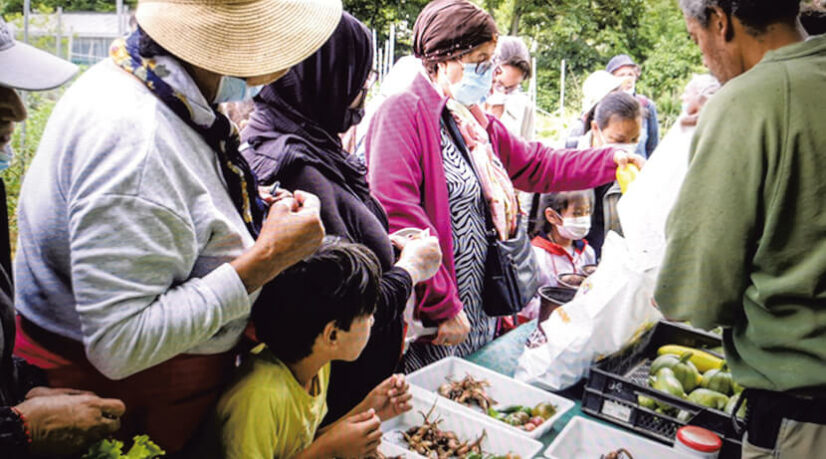 Vente directe et pédagogique à la ferme des Chanteraines