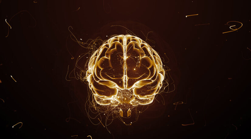 La renaissance des neurosciences