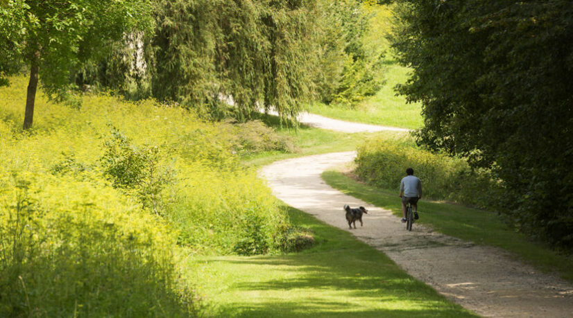 La forêt régionale de Bondy classée “forêt de protection”