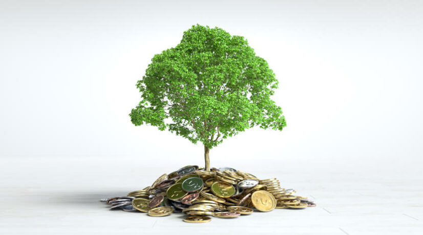 Le 'budget vert' de l’État : peut mieux faire