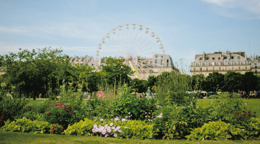 Le Conseil de Paris approuve la coopérative carbone territoriale