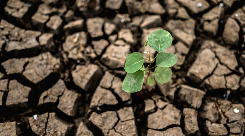 Le Grand Est anticipe le manque d’eau